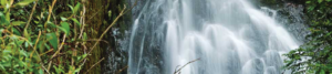 Andean Living Waters