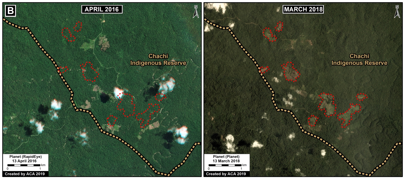 MAAP #102: Saving The Ecuadorian Chocó - Amazon Conservation Association