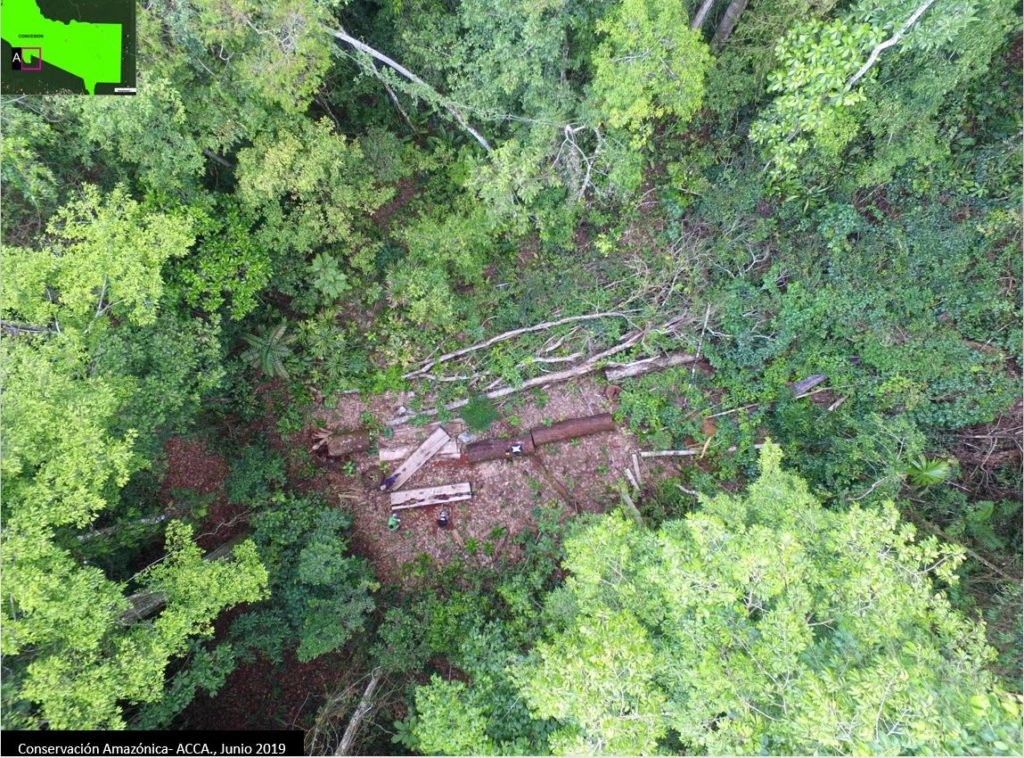 Case A. Illegal logging in the Conservation Concession “Los Amigos”, identified with a drone flying over. Source- ACCA