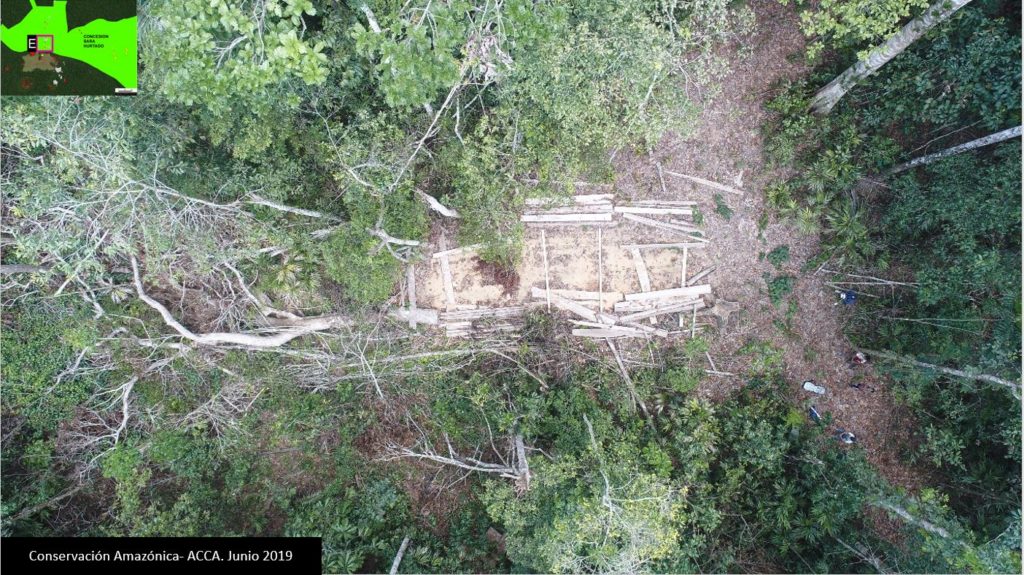 Case E. Illegal logging in the Forest Concession “Sara Hurtado” identified with drone images. Source- ACCA