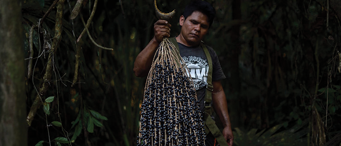 man holding acai berries