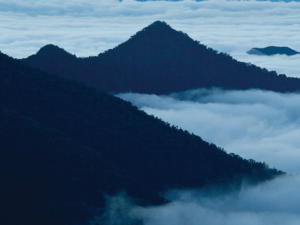 andean cloud forest