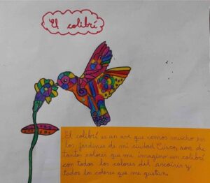 'El Colibri' bird drawing done during Amazon Conservation 'if you were a bird what would you be' contest