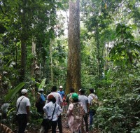 Brazil nut concessionaires walking in forest