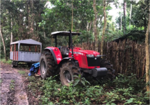 Tractor transporting rosewood seedlings