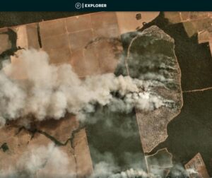 Example of a major fire in the Brazilian Amazon burning recently deforested area. Brazil major fire #54, July 30, Mato Grosso. Image: Planetscope (Planet).