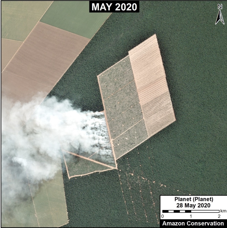 Image 1. First Major Amazon fire of 2020, in Mato Grosso, Brazil. Data: Planet.