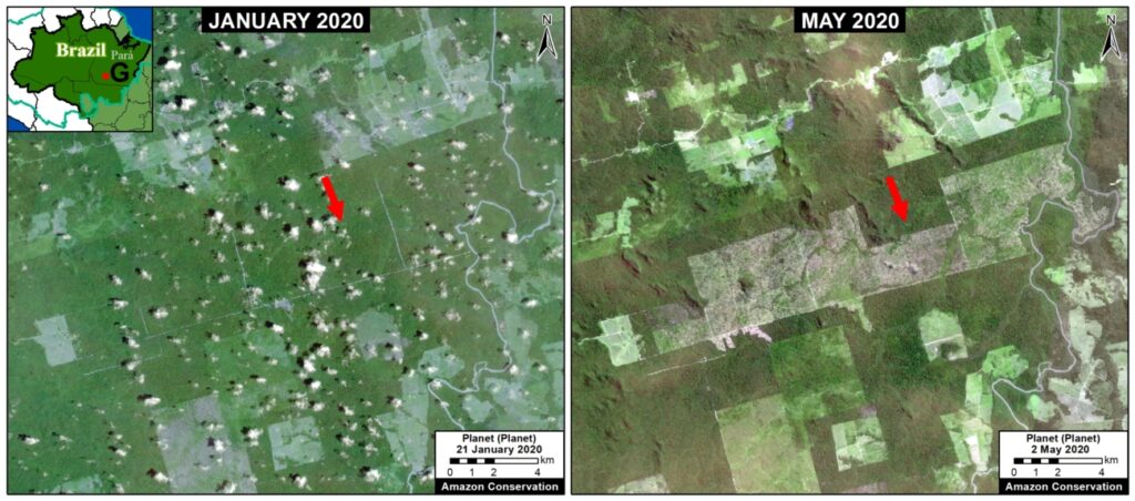 Satellite Zoom G Para . January to May, showing deforestation.