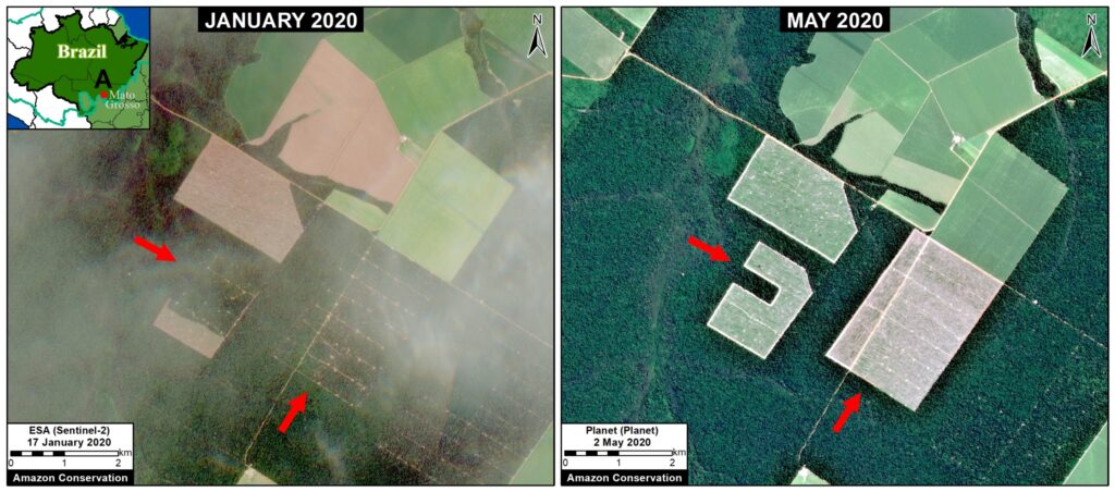 Satellite Zoom A. January to May, showing deforestation.