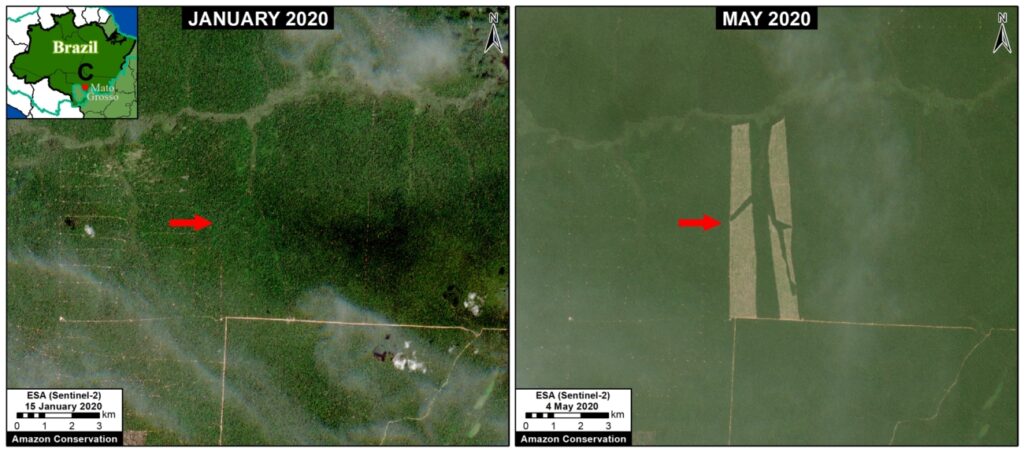  Satellite Zoom C. January to May, showing deforestation.