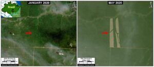 Satellite Zoom C. January to May, showing deforestation.