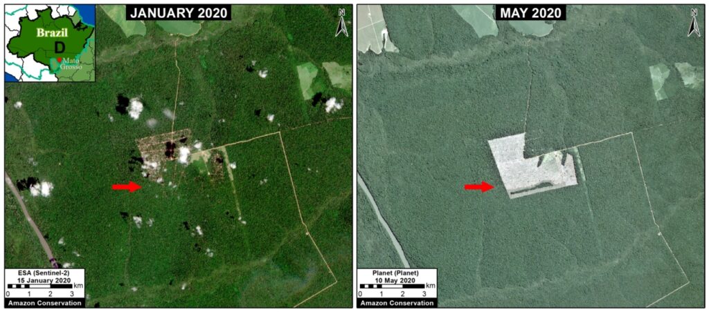 Satellite Zoom D. January to May, showing deforestation.