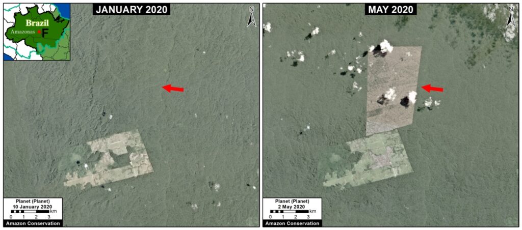 Satellite Zoom F Amazonas . January to May, showing deforestation.