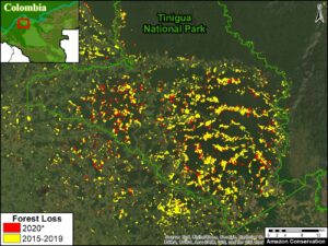 Image 1. Extensive deforestation within Tinigua National Park over the last five years, continuing in 2020. Data: Hansen/UMD/Google/USGS/NASA, UMD/GLAD.