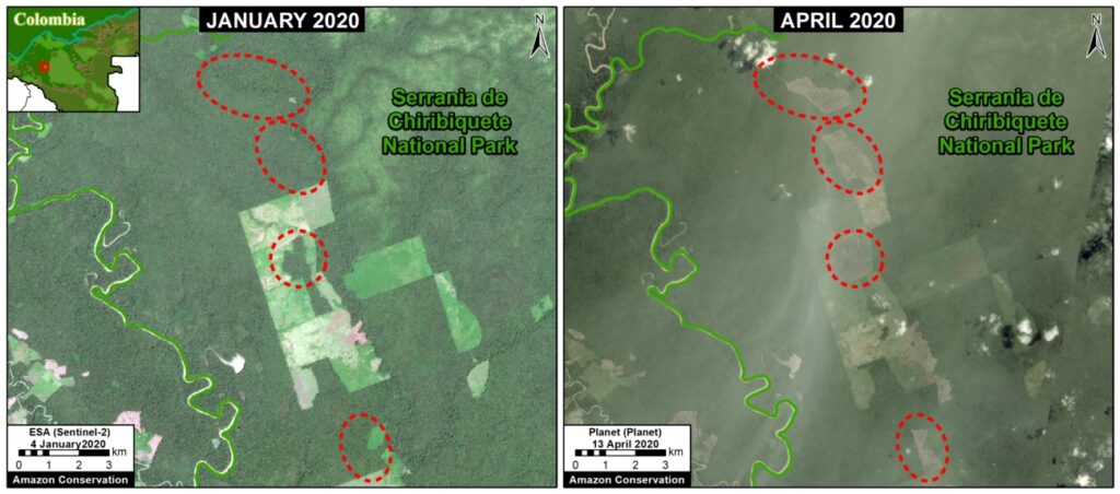 Image 2. Deforestation in Chirbiquete National Park (western sector) between January (left panel) and April (right panel) of 2020. Data: ESA, Planet, MAAP.