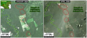 Image 2. Deforestation in Chirbiquete National Park (western sector) between January (left panel) and April (right panel) of 2020. Data: ESA, Planet, MAAP.