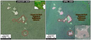 Image 3. Deforestation in Llanos del Yari-Yaguara II Indigenous Reserve. Data: ESA, Planet, MAAP.