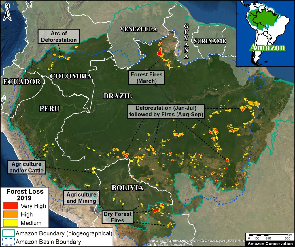 Rainforest Deforestation Map