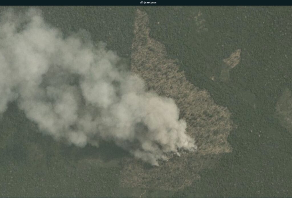 Brazilian Amazon Fire #124 (August 6, 2020)