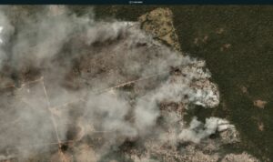 Brazilian Amazon Fire #124 (August 7, 2020)