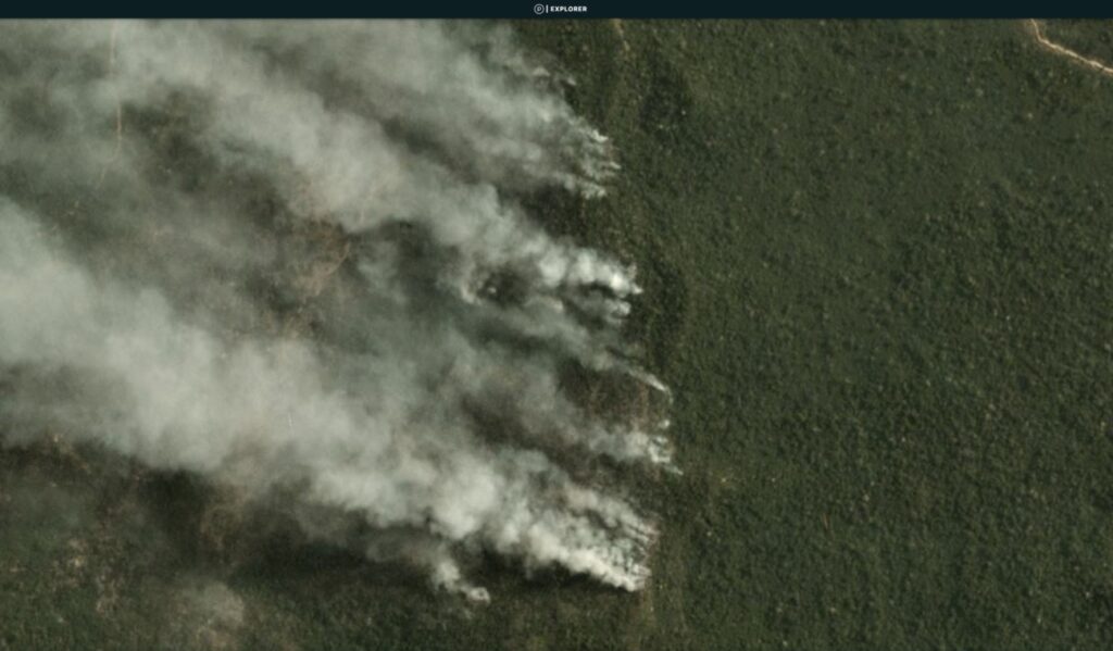 Brazilian Amazon Fire #195, August 2020