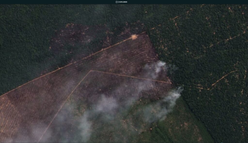 Brazilian Amazon Fire #218, August 2020