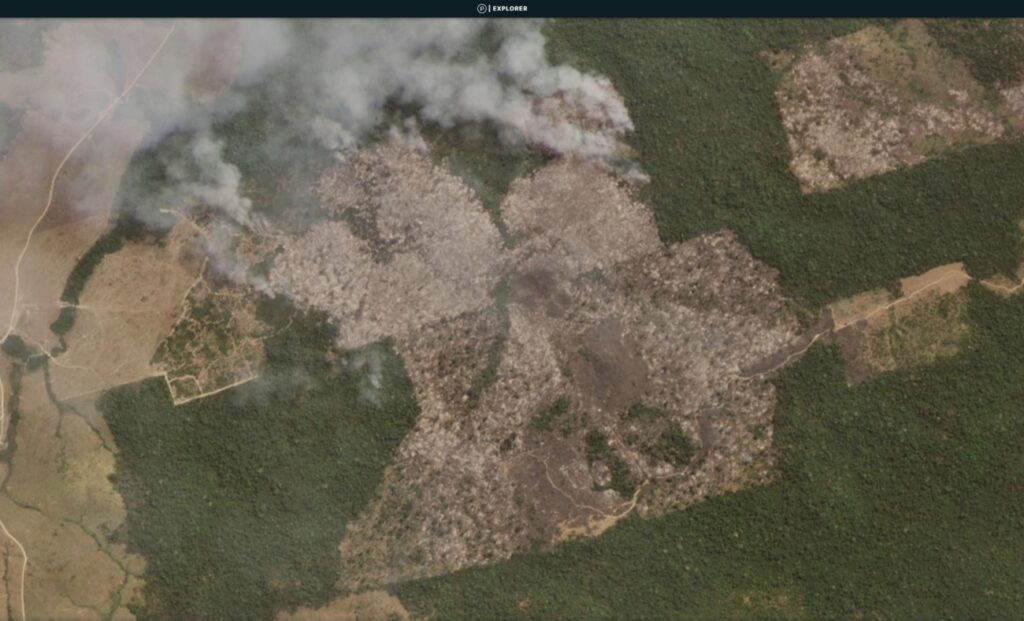 Brazilian Amazon Fire #221 (August 11, 2020)