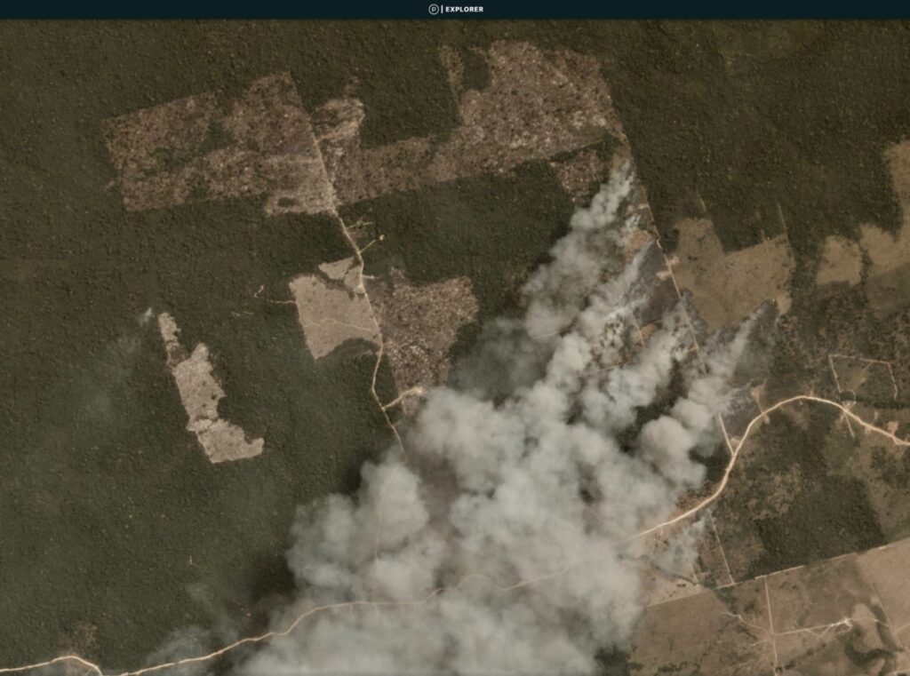 Brazilian Amazon Fire #335 (August 16, 2020)