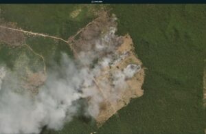 Brazilian Amazon Fire #338 (August 16, 2020)