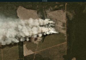 Brazilian Amazon Fire #76 (August 1, 2020)