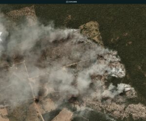 Images of the 2020 Brazilian Amazon Fire