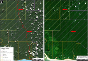 Case 3. Data: MAAP, ESA, IBC, SERFOR. Click to enlarge.