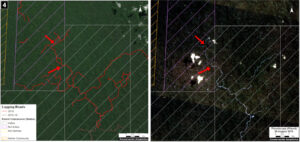 Case 5. Data: MAAP, ESA, IBC, SERFOR. Click to enlarge.