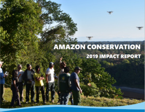 2019 impact report cover