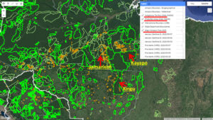 Major Fires (orange dots) within and around indigenous territories (bright green) and protected areas (light green) in the eastern Brazilian Amazon. Data: MAAP.