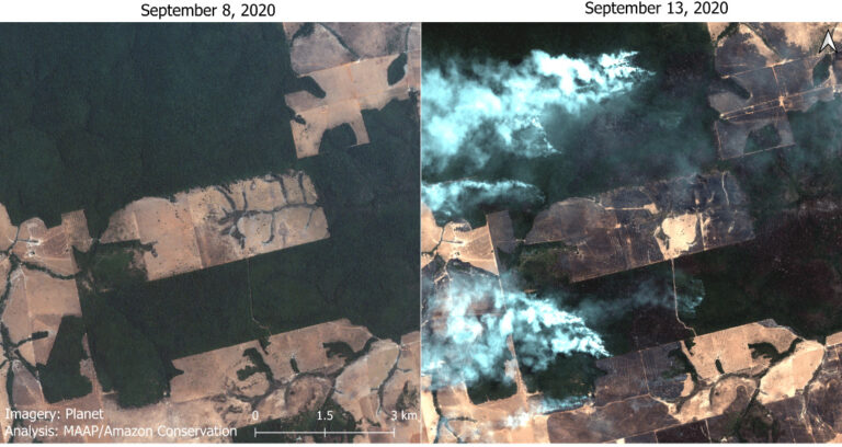 Amazon Fire Season Intensifies; Shifts to Raging Forest Fires - Amazon ...