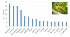 Comparison Graph