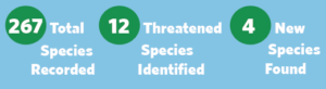 267 Total species recorded, 12 threatened species identified, 4 new species found graphic