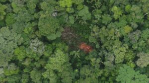 Case B. Illegal logging in the “MADEFOL” forestry concession identified with drone overflight. Source: ACCA.