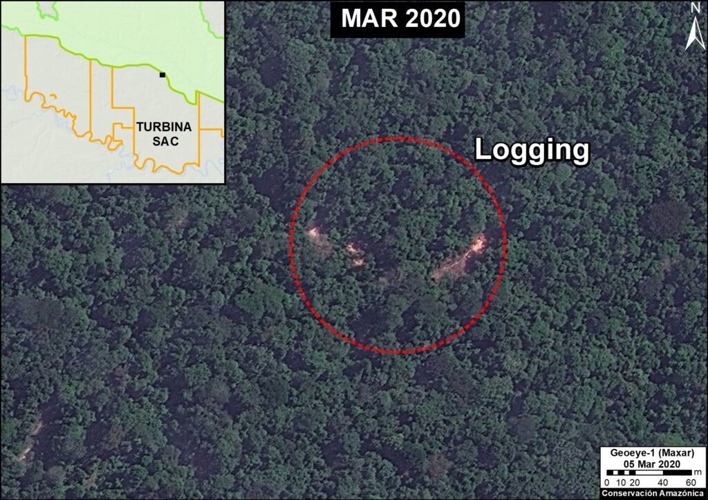 Identification of illegal logging. Data: Maxar, MAAP.