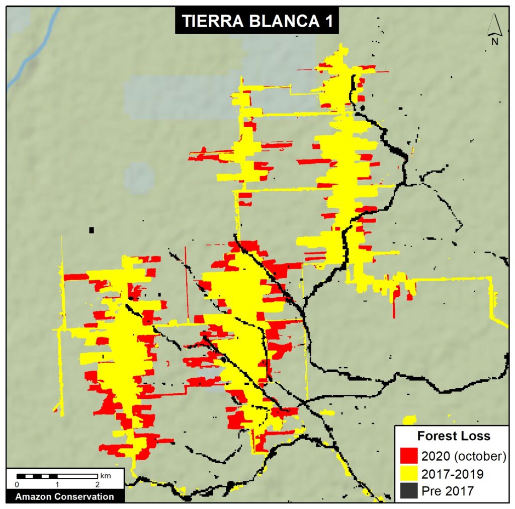 Time series of satellite images ranging from 1985 to 2020 that shows that the major deforestation in the area began with the Mennonite intervention.