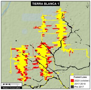 Time series of satellite images ranging from 1985 to 2020 that shows that the major deforestation in the area began with the Mennonite intervention.