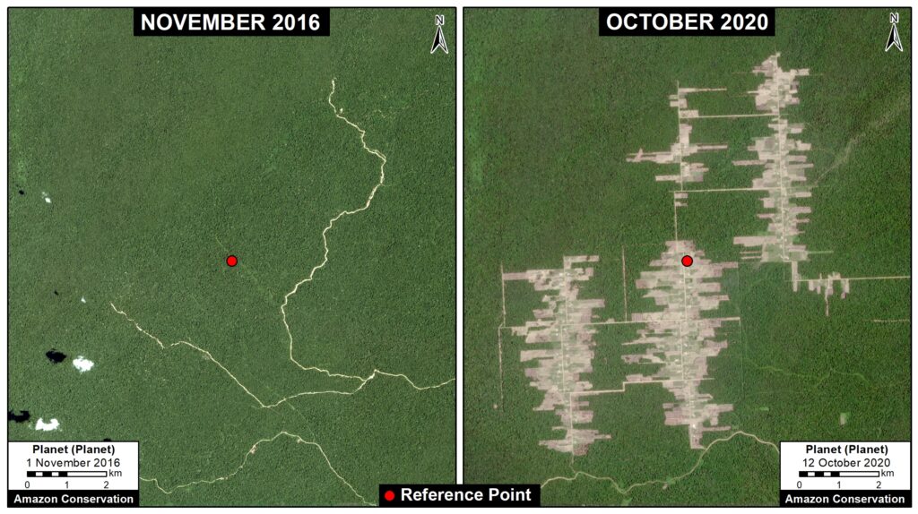 Deforestation between September 2016 (left panel) and October 2020 (right panel), associated with the Mennonite colony Tierra Blanca 1. Data: Planet, MAAP. Click to enlarge.