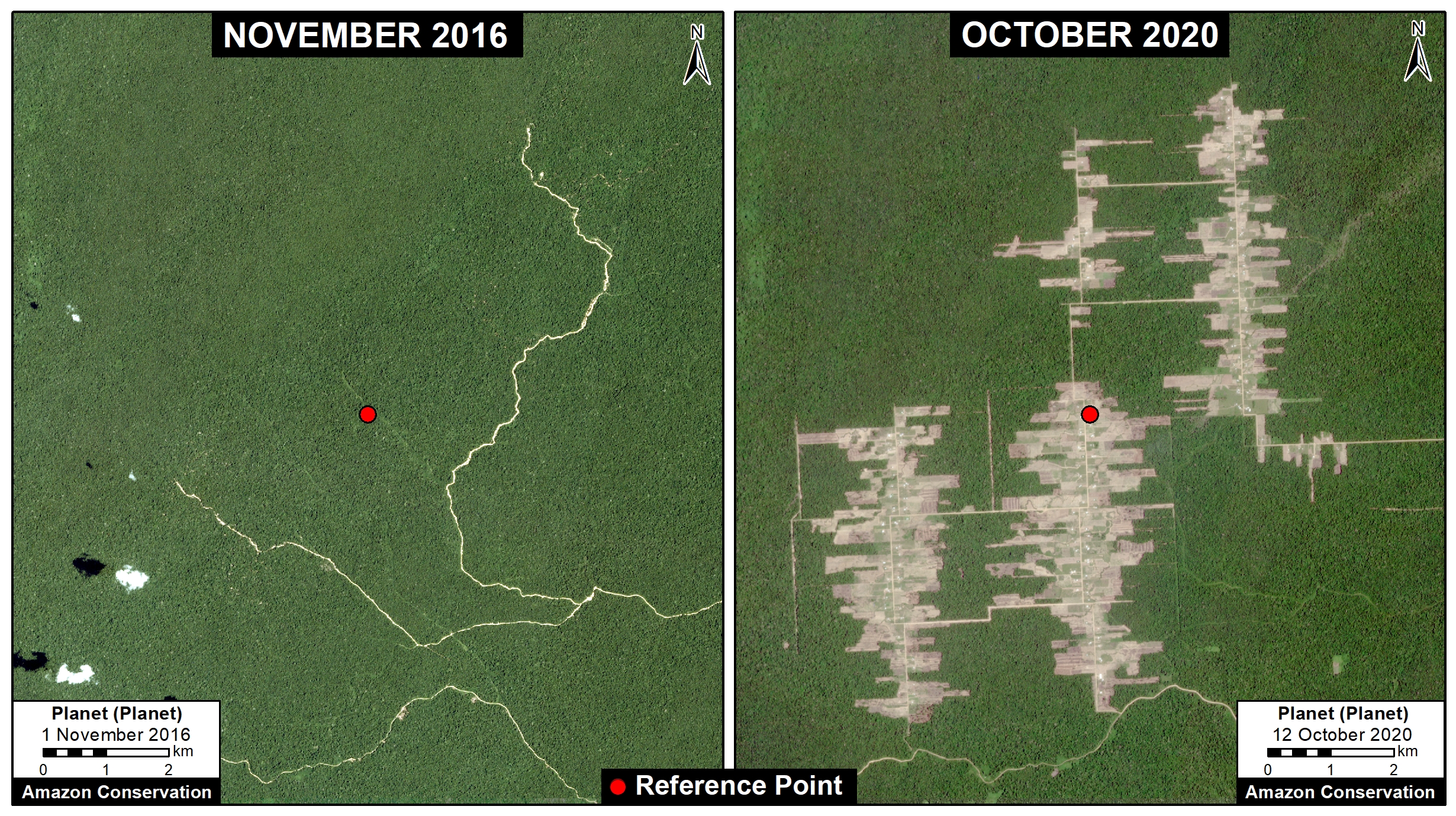 MAAP#127: Mennonite Colonies Continue Major Deforestation in Peruvian ...