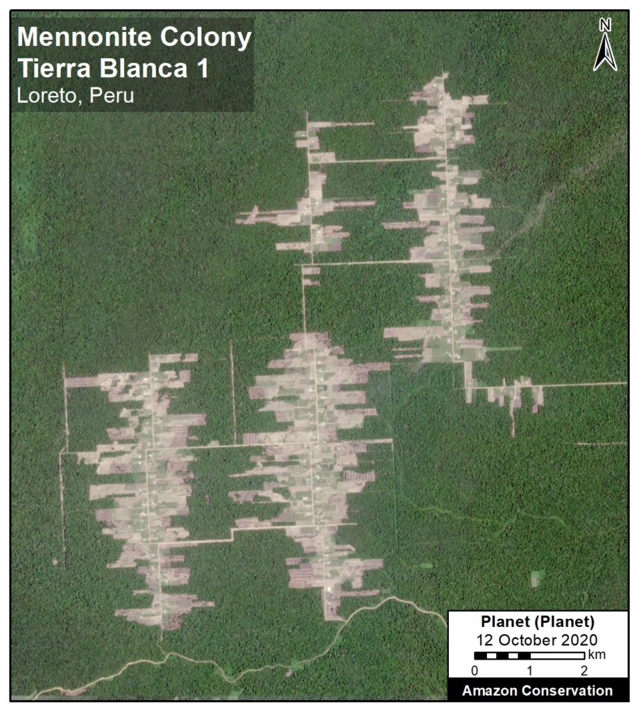 Recent deforestation associated with the Mennonite colony Tierra Blanca 1, in Loreto, Peru. Data: Planet