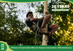 Acai harness as a part of the sustainable forest products program by Amazon Conservation,part of 20 for 20 Years of Conservation Wins by Amazon Conservation