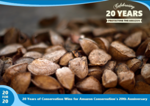 Brazil Nuts as part of 20 for 20 Years of Conservation Wins by Amazon Conservation