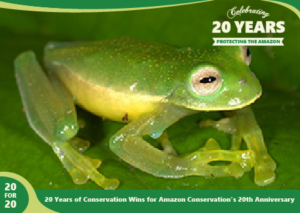 Photo of Glass Frog Discovered At Wayqecha by Amazon Conservation,part of 20 for 20 Years of Conservation Wins by Amazon Conservation