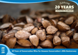 Brazil Nuts as part of 20 for 20 Years of Conservation Wins by Amazon Conservation