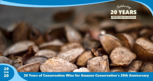 Brazil Nuts as part of 20 for 20 Years of Conservation Wins by Amazon Conservation